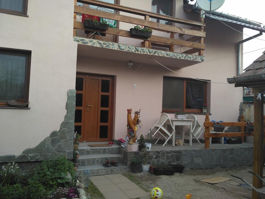 Casa Teo Hotel Ocna Sibiului Buitenkant foto