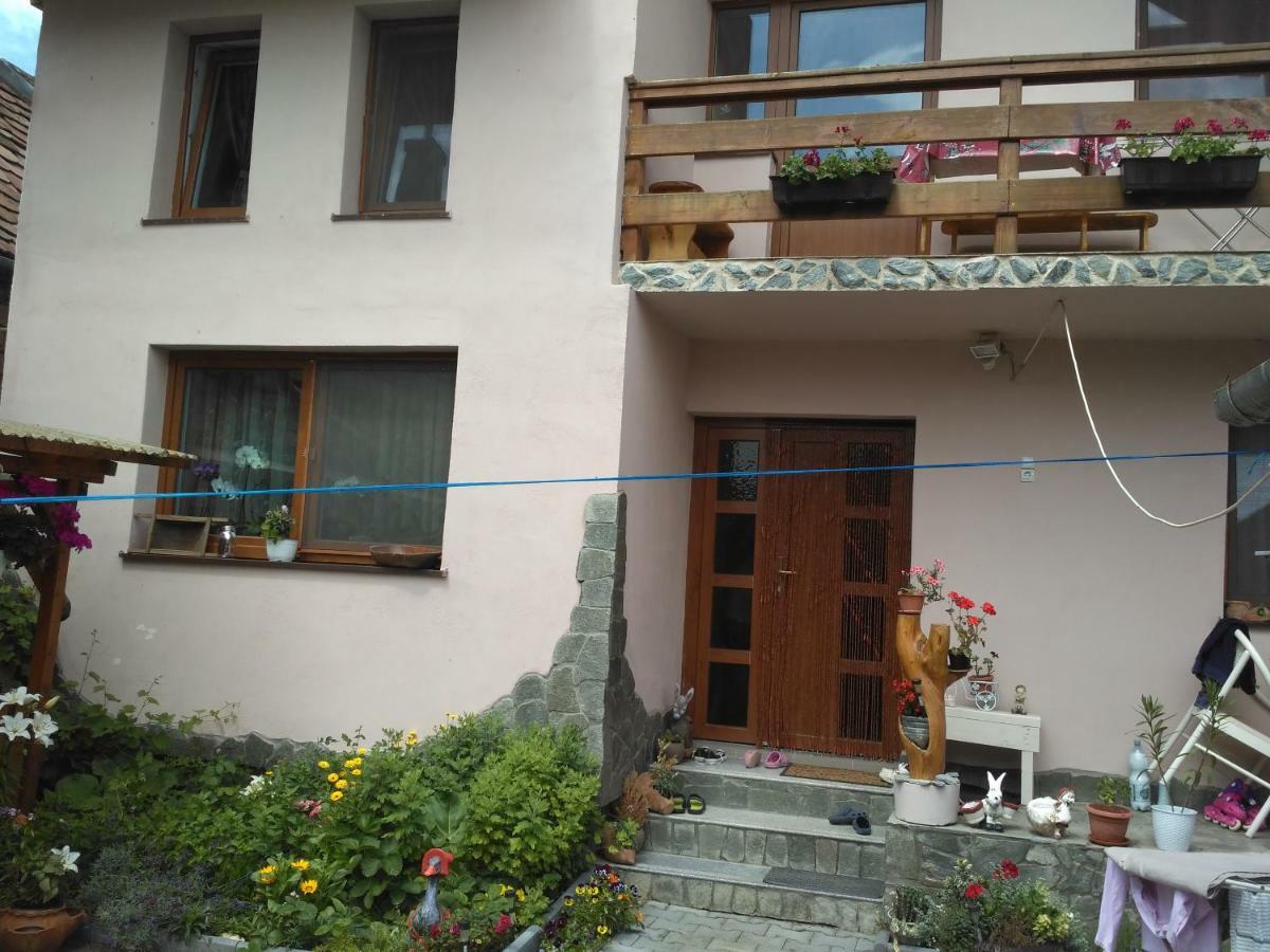 Casa Teo Hotel Ocna Sibiului Buitenkant foto